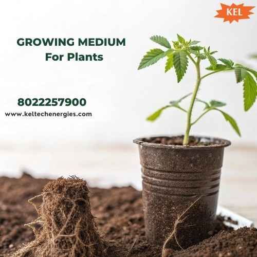 Growing Medium for Plants Best Choices by Keltech Energies
