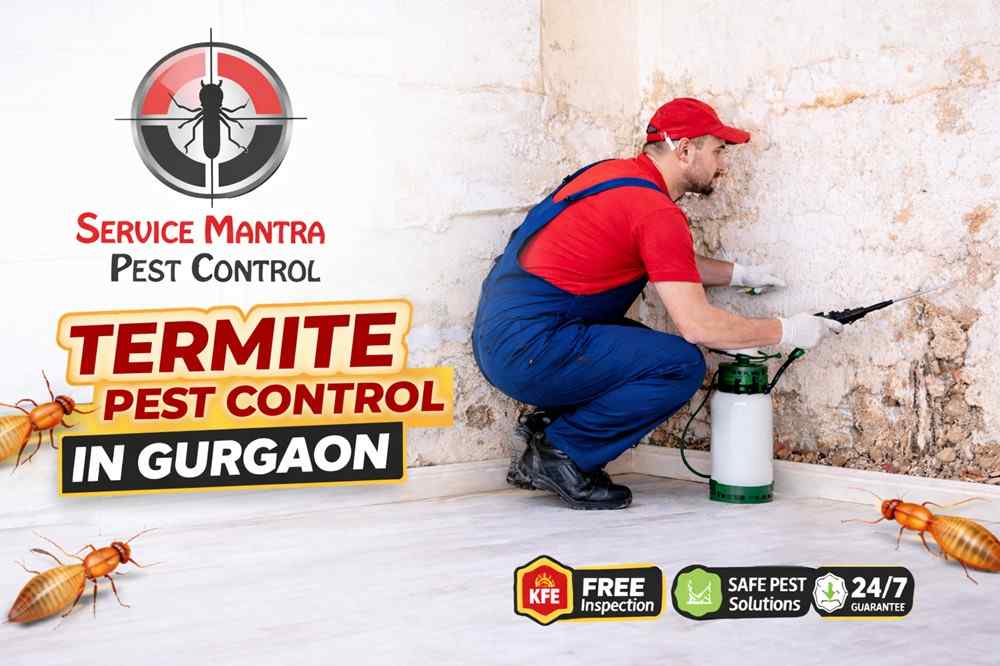 What Scent Will Keep Mice Away